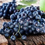 Festa dell'uva e del vino (SI)
