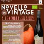 Novello in vintage (TV)