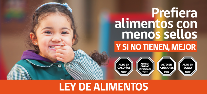 immagine dal sito del Ministerio de Salud cileno