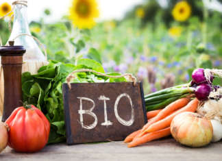 carote, cipolle e altri ortaggi biologici con cartello con scritto BIO