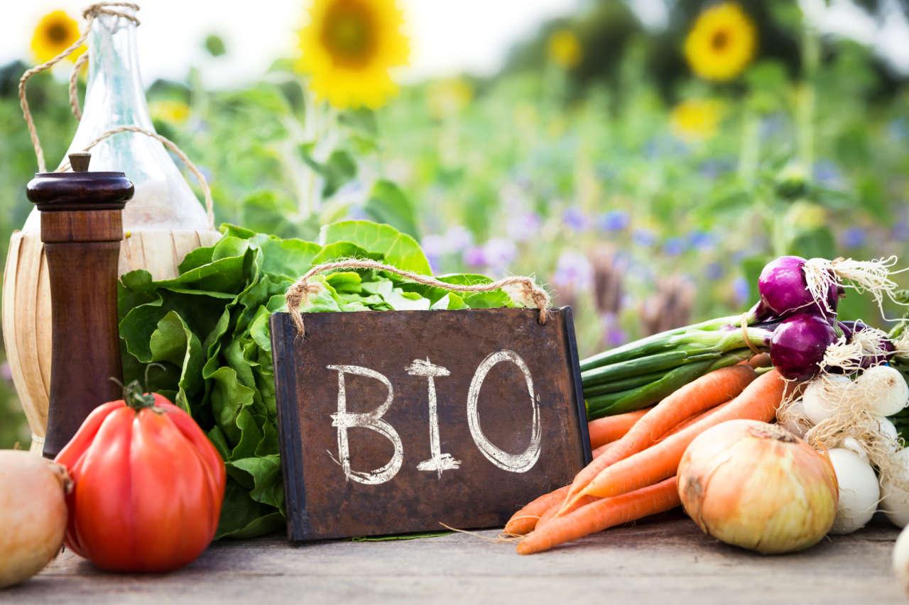carote, cipolle e altri ortaggi biologici con cartello con scritto BIO