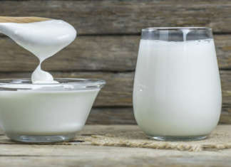 yogurt fatto in casa e latte