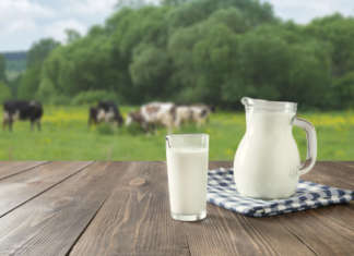 Bricco e bicchiere di latte con mandria