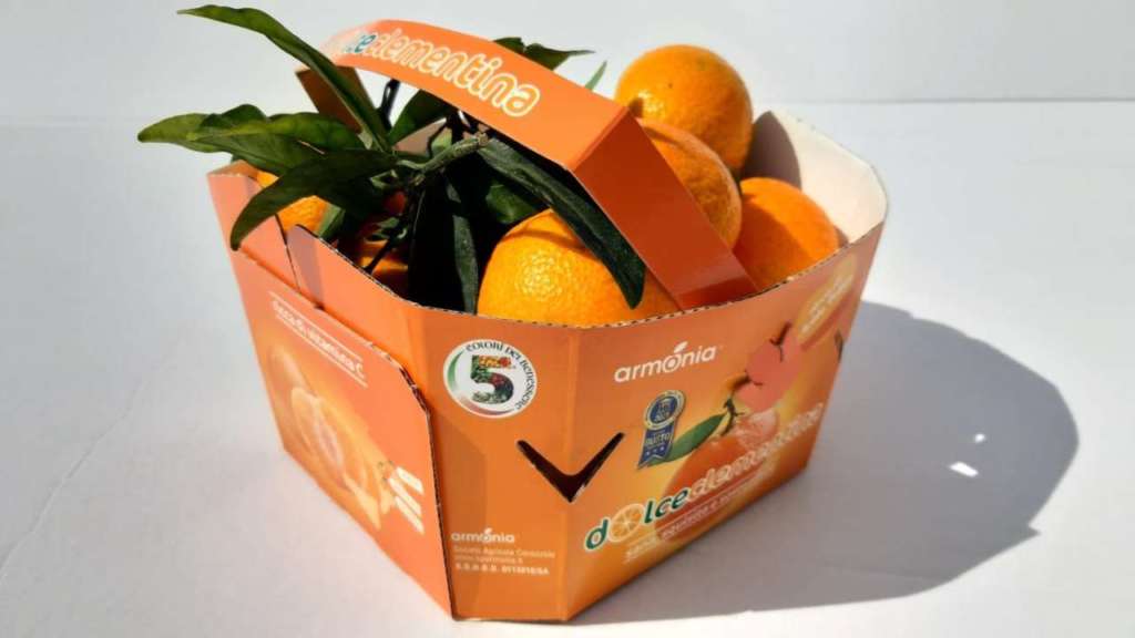 cestino di cartone con clementine
