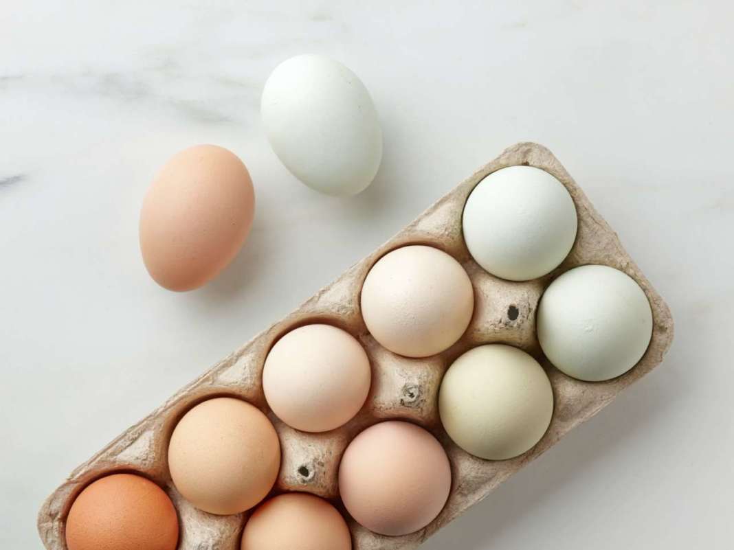 colore uova