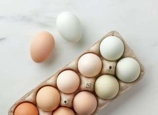 colore uova