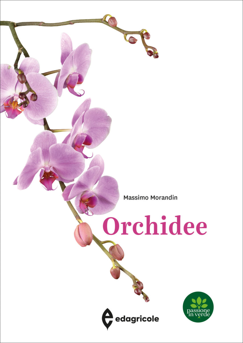libro orchidee